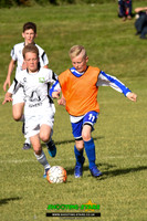 U13-8663