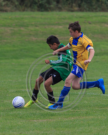 Eldon-2014 708