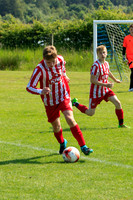 U15-1517