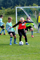 U11-0729