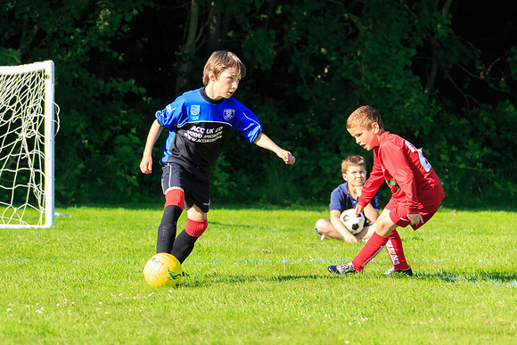 130629 Sandhurst Wanderers U8 at BTJ U9 Trny (517)