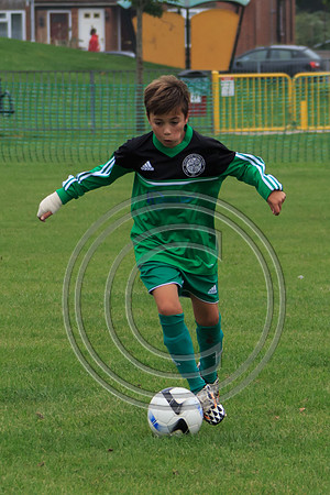 Eldon-2014 020