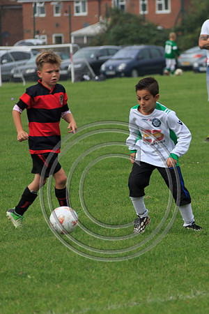Eldon-2014 549