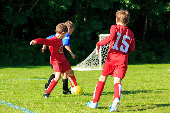 130629 Sandhurst Wanderers U8 at BTJ U9 Trny (490)