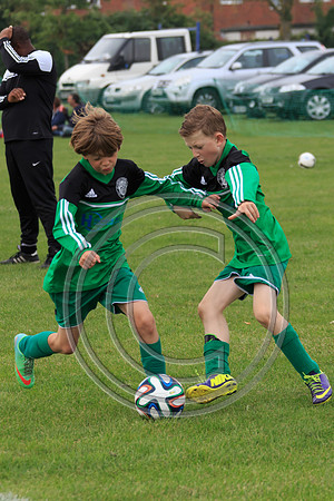 Eldon-2014 604