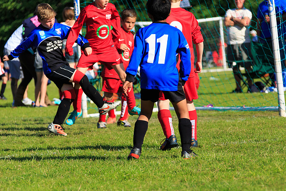 130629 Sandhurst Wanderers U8 at BTJ U9 Trny (567)