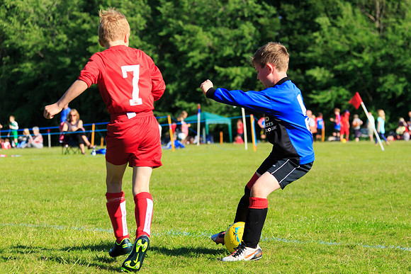 130629 Sandhurst Wanderers U8 at BTJ U9 Trny (473)