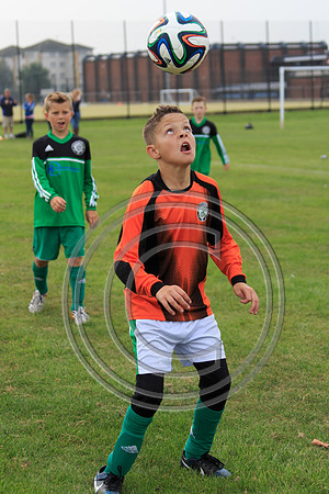Eldon-2014 580
