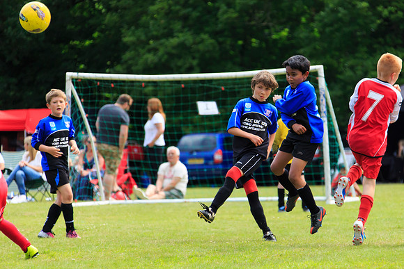 130629 Sandhurst Wanderers U8 at BTJ U9 Trny (90)