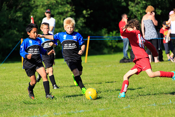 130629 Sandhurst Wanderers U8 at BTJ U9 Trny (552)