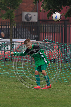 Eldon-2014 264