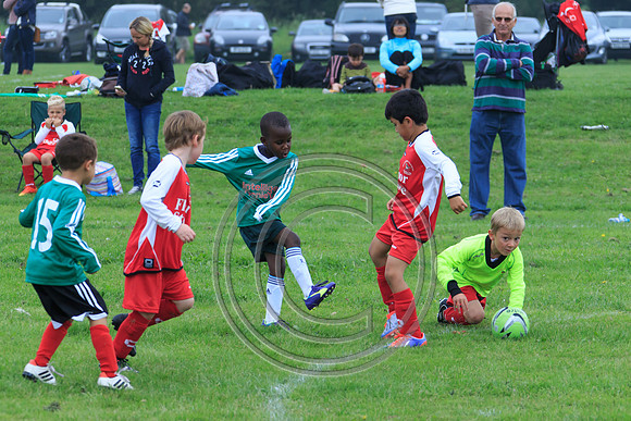 Eldon-2014 209