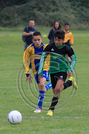 Eldon-2014 684