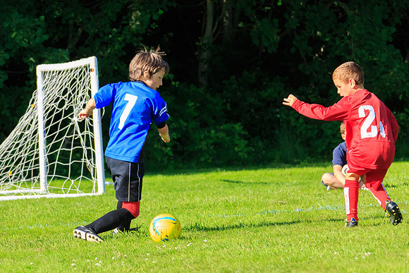 130629 Sandhurst Wanderers U8 at BTJ U9 Trny (516)
