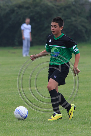 Eldon-2014 706