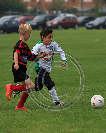 Eldon-2014 529