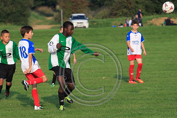 Eldon-2014 1410