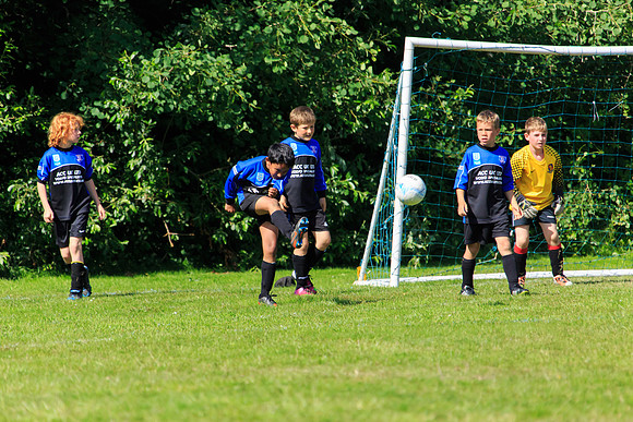 130629 Sandhurst Wanderers U8 at BTJ U9 Trny (278)