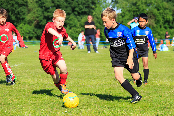 130629 Sandhurst Wanderers U8 at BTJ U9 Trny (484)