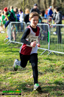 Cross Country 5