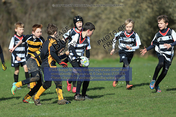 IMG_8811