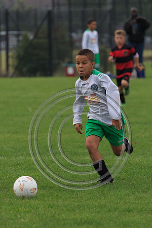 Eldon-2014 501
