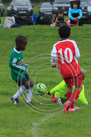 Eldon-2014 205