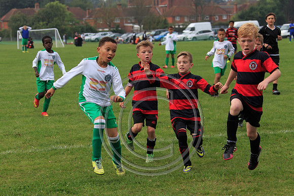 Eldon-2014 569
