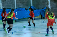 FT0515 (20)