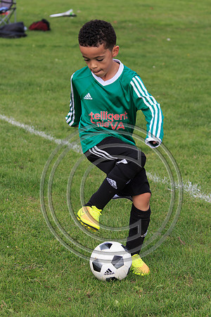 Eldon-2014 888