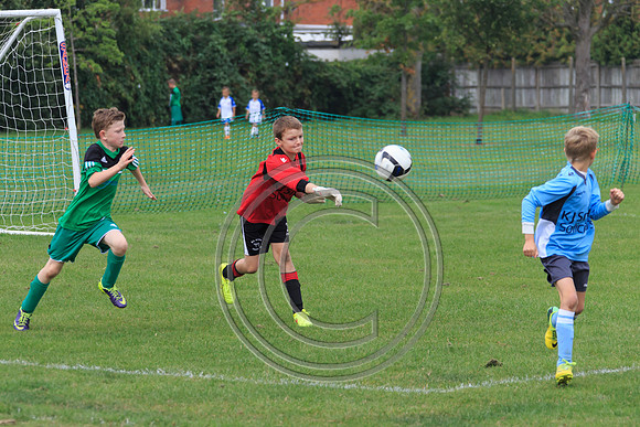 Eldon-2014 456