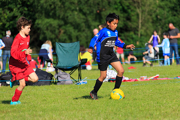 130629 Sandhurst Wanderers U8 at BTJ U9 Trny (559)