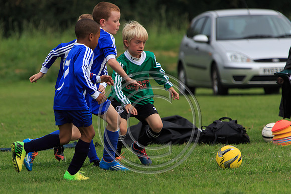 Eldon-2014 799