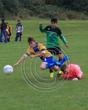 Eldon-2014 685