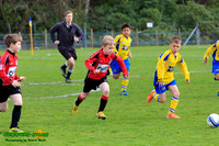 140412 B Cav U9 v Ascot Racing 002