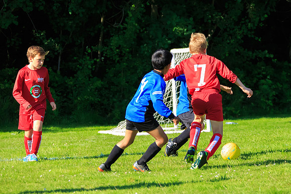 130629 Sandhurst Wanderers U8 at BTJ U9 Trny (537)