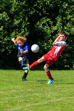 130629 Sandhurst Wanderers U8 at BTJ U9 Trny (331)