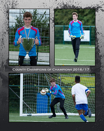 Montage 3 Images Metal Frame