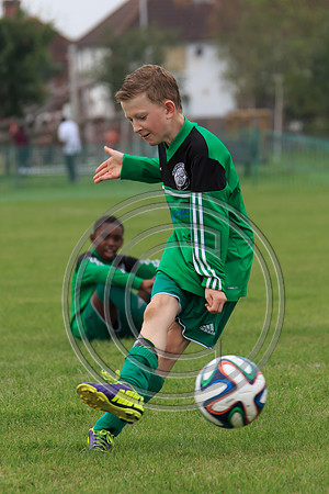 Eldon-2014 607