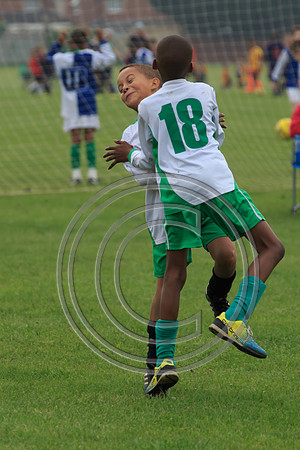 Eldon-2014 488