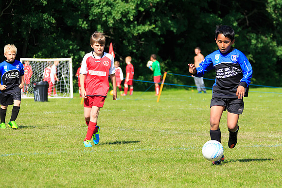 130629 Sandhurst Wanderers U8 at BTJ U9 Trny (311)