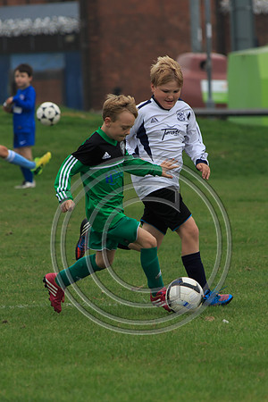 Eldon-2014 274