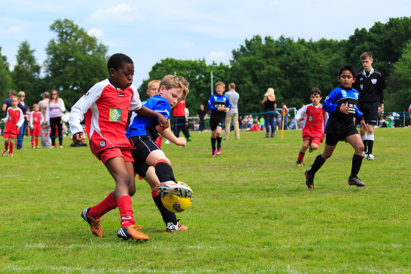 130629 Sandhurst Wanderers U8 at BTJ U9 Trny (52)