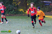 131123 B Cavaliers U9 v Pinewood Pumas 0-3 025