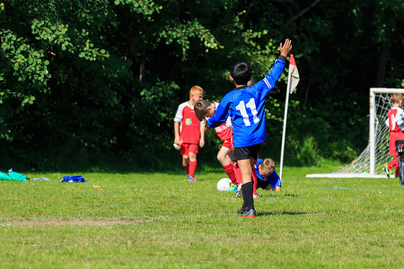 130629 Sandhurst Wanderers U8 at BTJ U9 Trny (292)