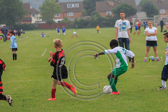 Eldon-2014 508