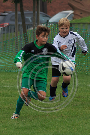 Eldon-2014 288