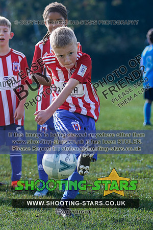 FCB23U8-0081