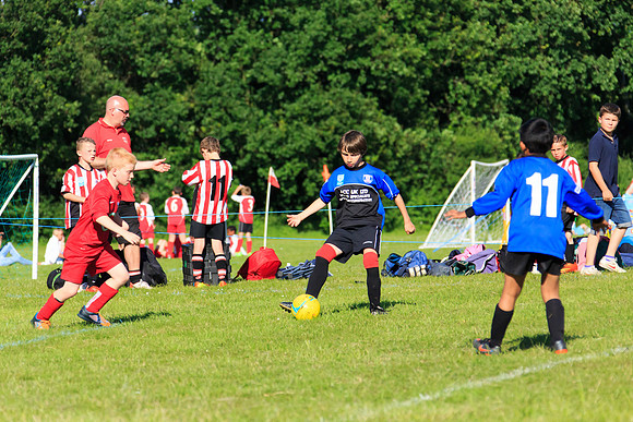 130629 Sandhurst Wanderers U8 at BTJ U9 Trny (541)