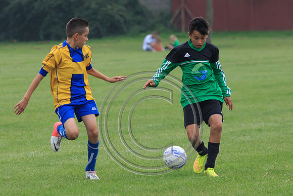 Eldon-2014 712